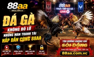 Trận nổi bật Đá Gà 88AA